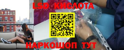 гидра Будённовск