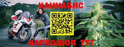 гидра Будённовск
