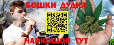 гидра Будённовск