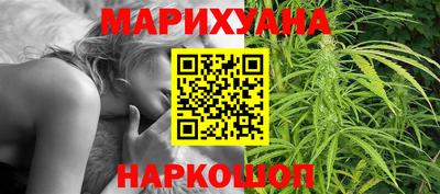 гидра Будённовск