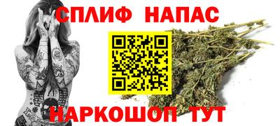 гидра Будённовск