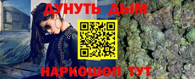гидра Будённовск