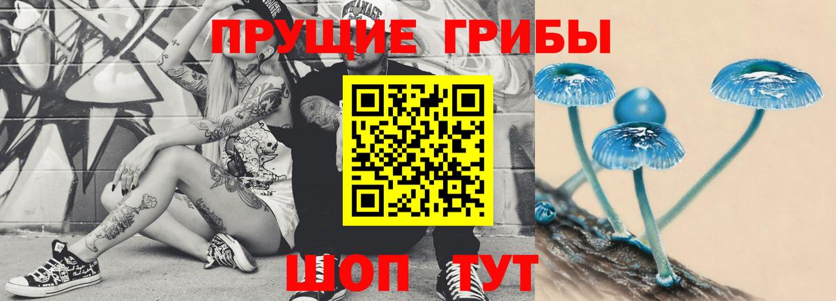 Конаково  Галлюциногенные грибы Cubensis  Вход с VPN 